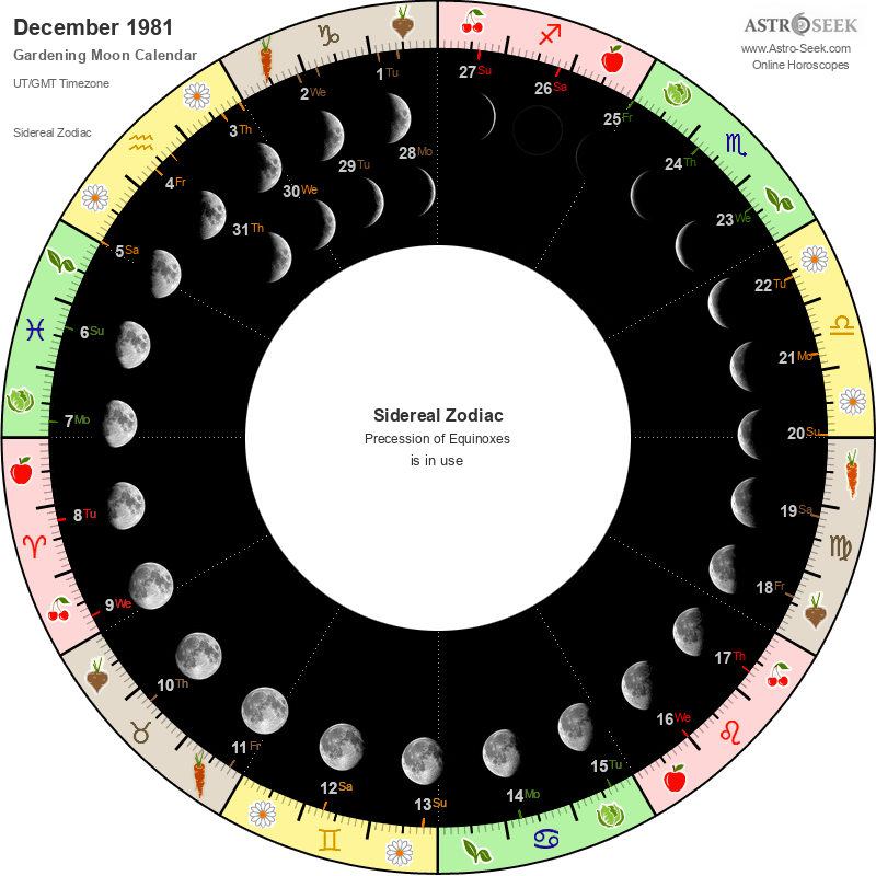 Gardening Moon Calendar December 1981, Lunar Calendar Gardening Guide