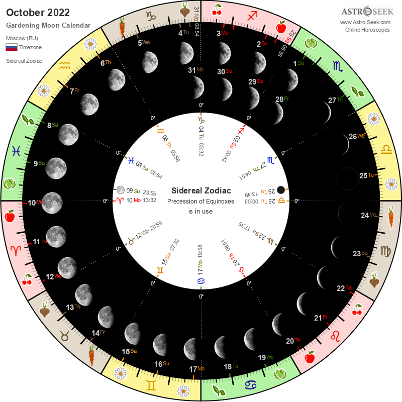 Лунный посевной календарь садовода и огородника на октябрь 2022 года