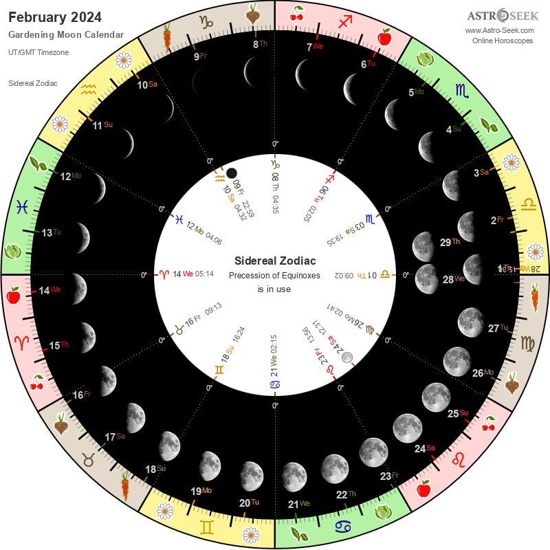 Полная луна в 2024 году. Лунный календарь на февраль 2024 садовода. Лунный посевной календарь на февраль 2024 года. Лунный посевной календарь на 2024. Посевной календарь на февраль 2024.