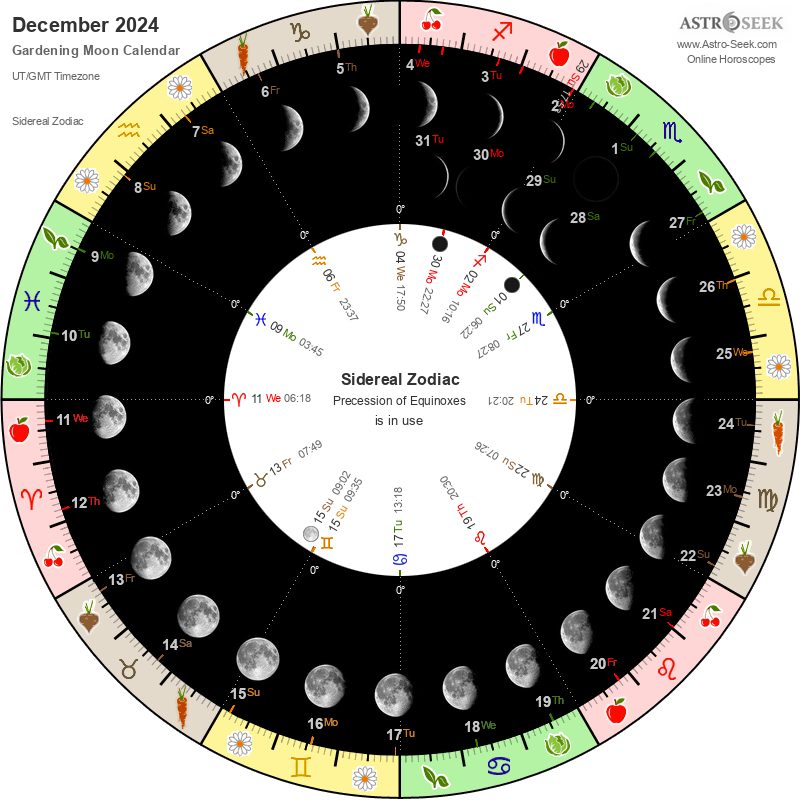 Луна в марте месяце 2024 года. Лунный посевной календарь на 2024 год. Фазы Луны в 2024 году по месяцам таблица на год. Лунный календарь на 2024 год. Лунгый календарь садовода на2024 год.